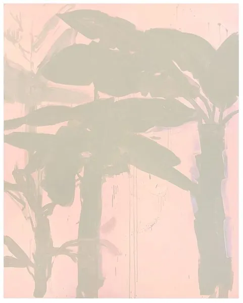 BANANA PALM TREES